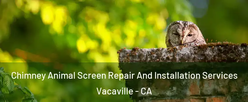  Chimney Animal Screen Repair And Installation Services Vacaville - CA