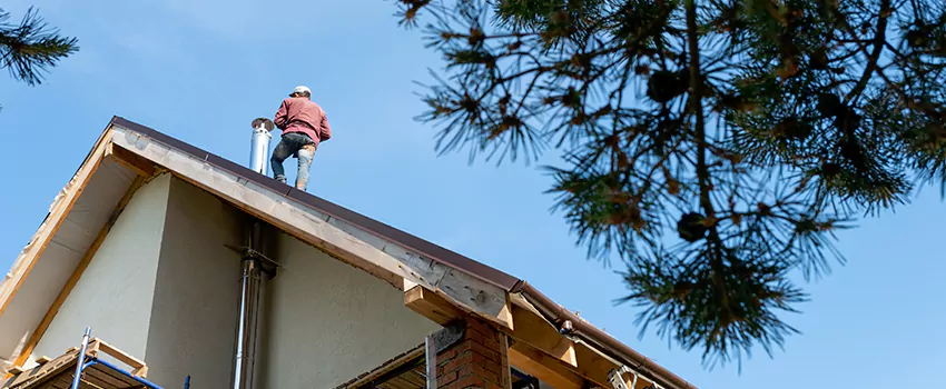 Birds Removal Contractors from Chimney in Vacaville, CA