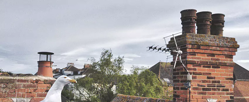 Chimney Cleaning And Restoration in Vacaville, California