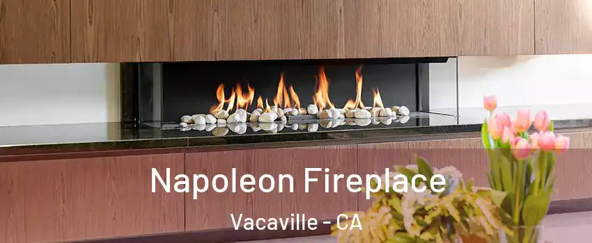  Napoleon Fireplace Vacaville - CA